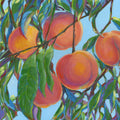 A colorful painted scene of peaches on a tree branch against a light blue sky, with green leaves and expressive brushstrokes throughout.